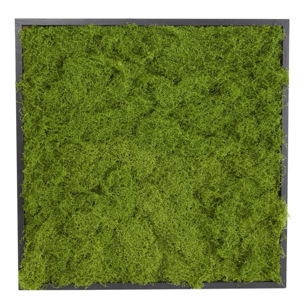 PANNELLO MUSCHIO 60X60CM